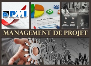 management de projet-ccir